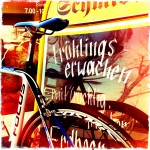Spring Focus