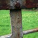 Alles-Natur